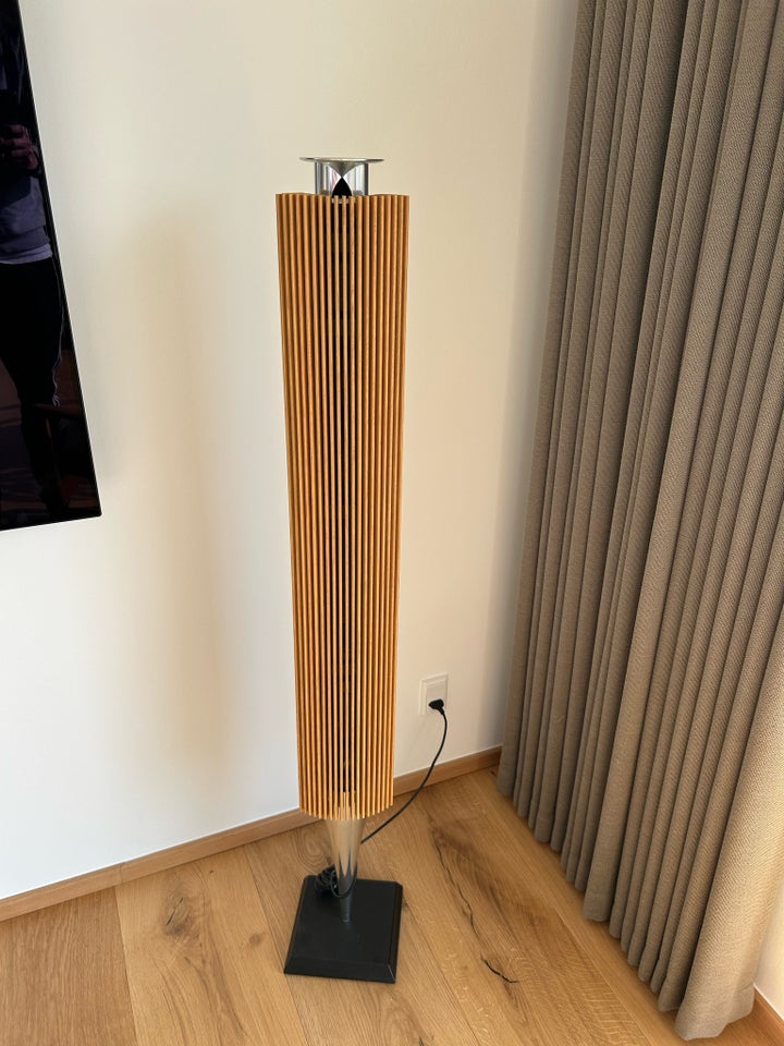 Højttaler, Bang  Olufsen, Beolab