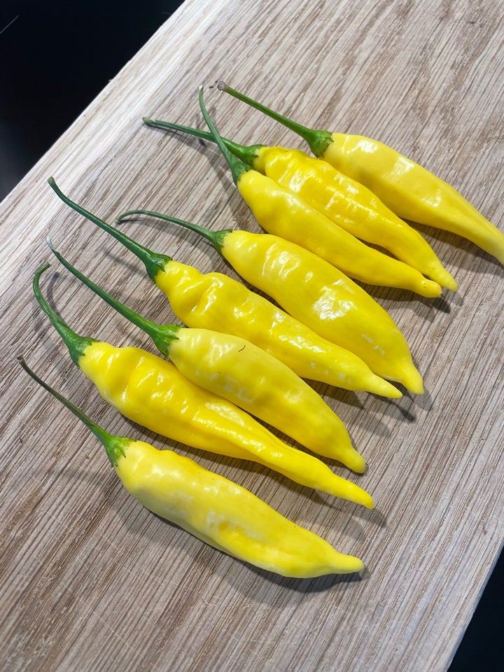 Aji Pineapple ChiliFrø