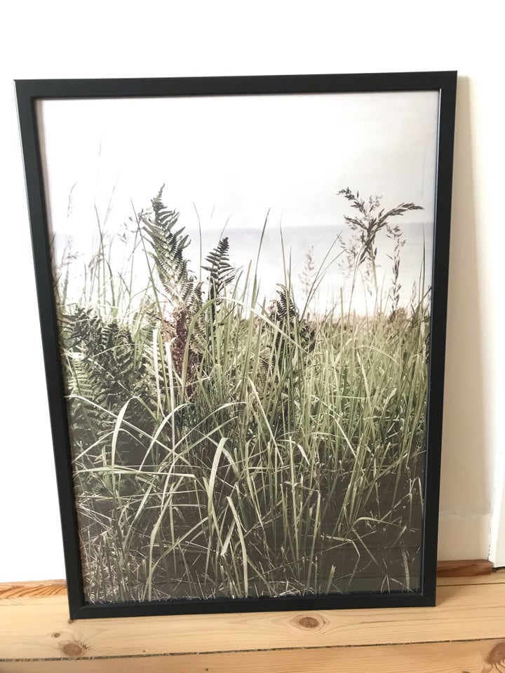 Plakat med strand og søgræs i ramme,