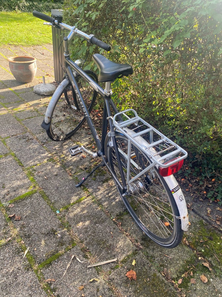 Herrecykel, Raleigh Technoligy