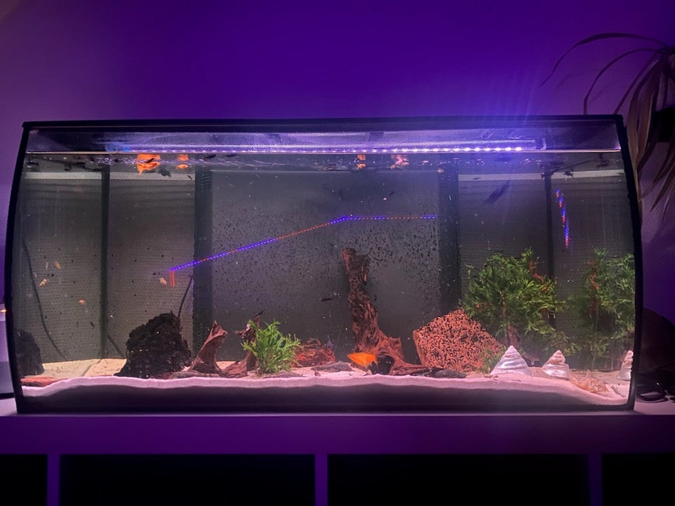 Akvarium, 123 liter, b: 82 d: 39 h: 40