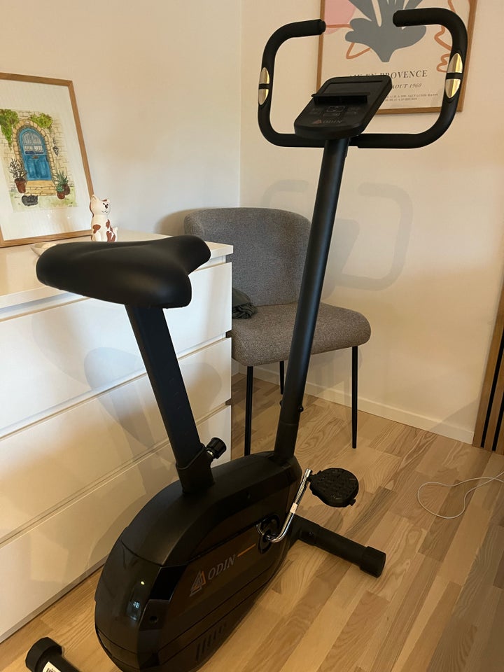 Motionscykel, Odin b500