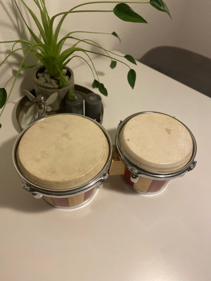 Bongos, Ukendt