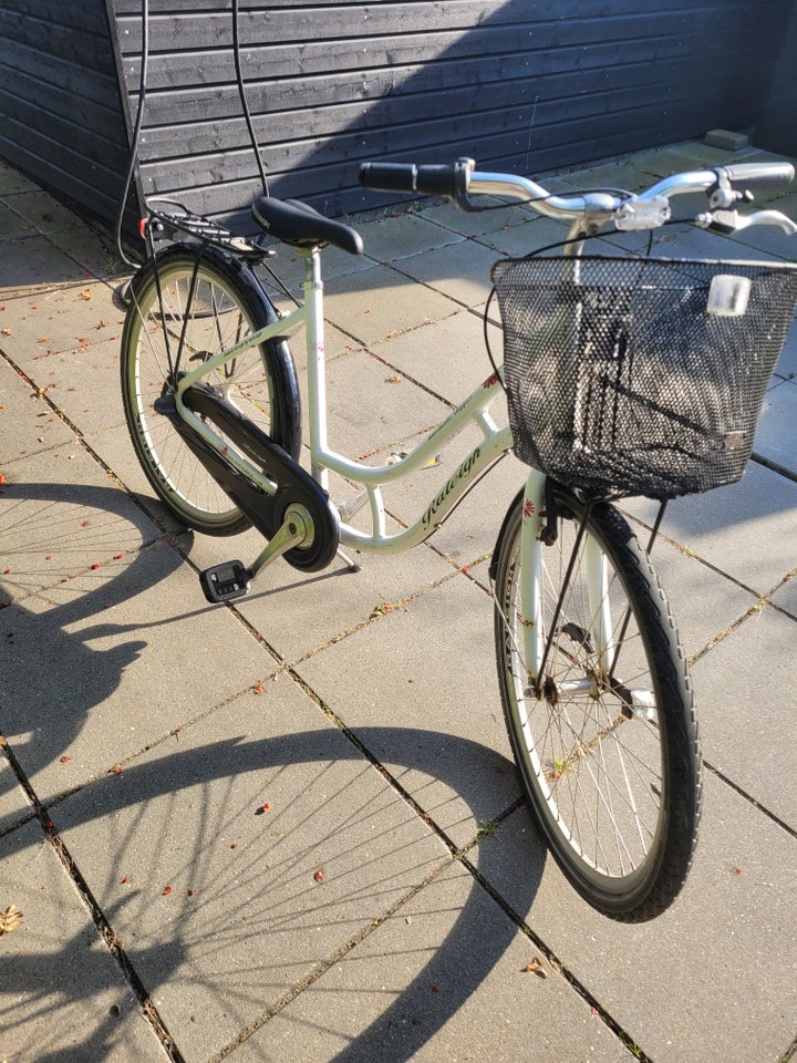 Pigecykel shopper Raleigh