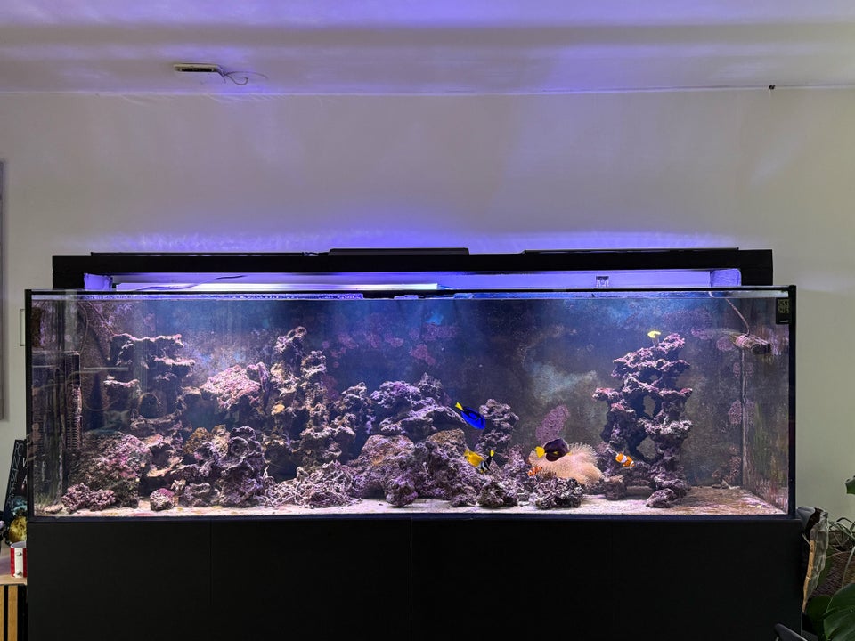 Akvarium, 966 liter