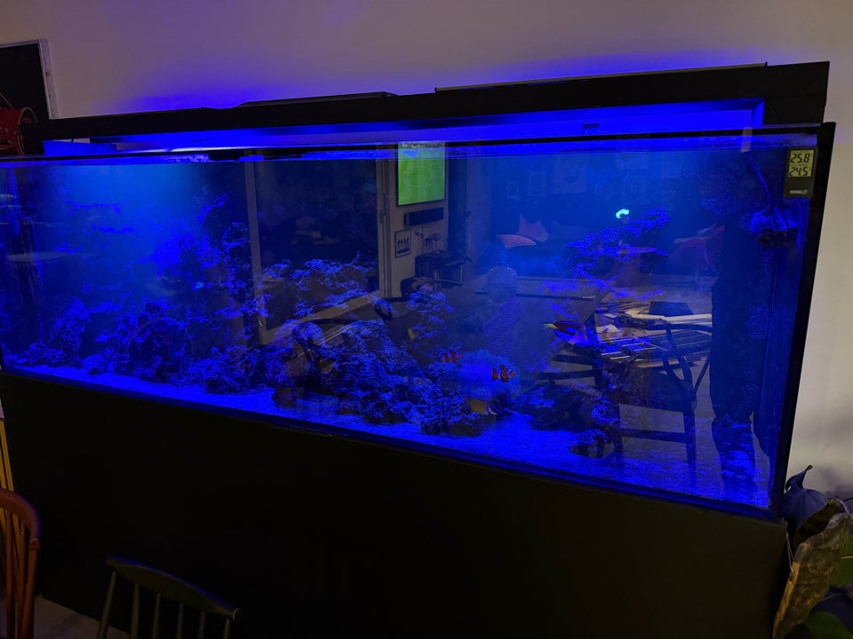 Akvarium, 966 liter