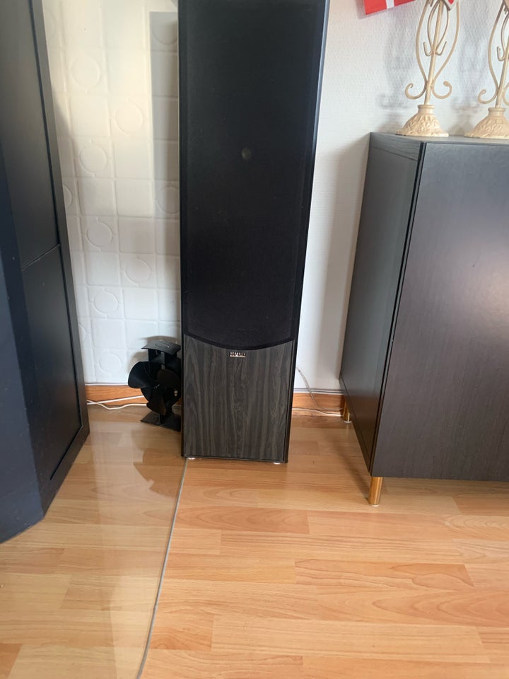 Højttaler Acoustic Solutions Av