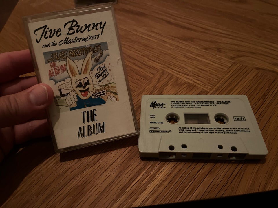 Bånd Jive Bunny And The