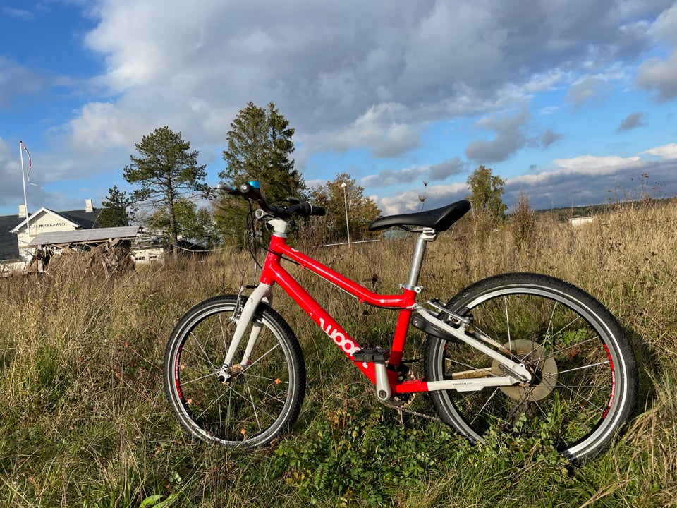 Unisex børnecykel, classic cykel,