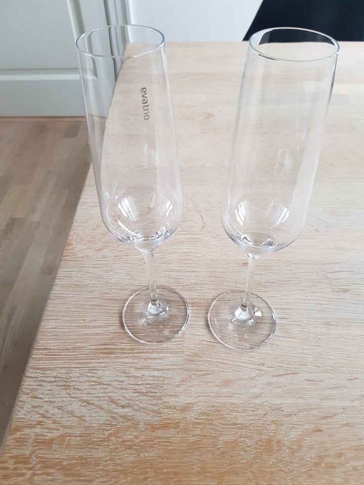 Glas Champagne glas Eva Trio