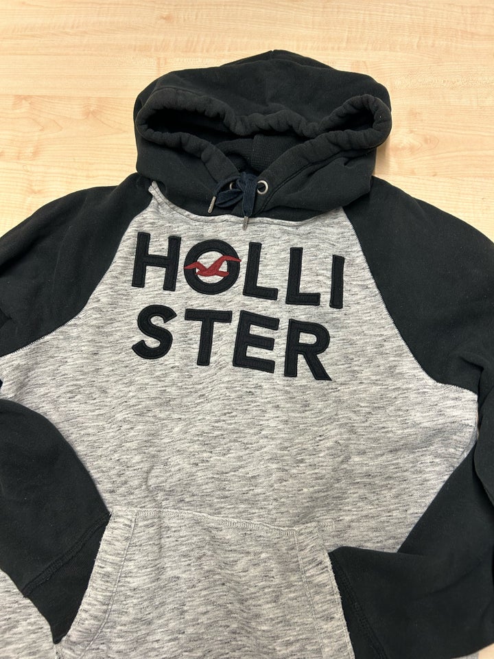 Hættetrøje, Hollister, str. L