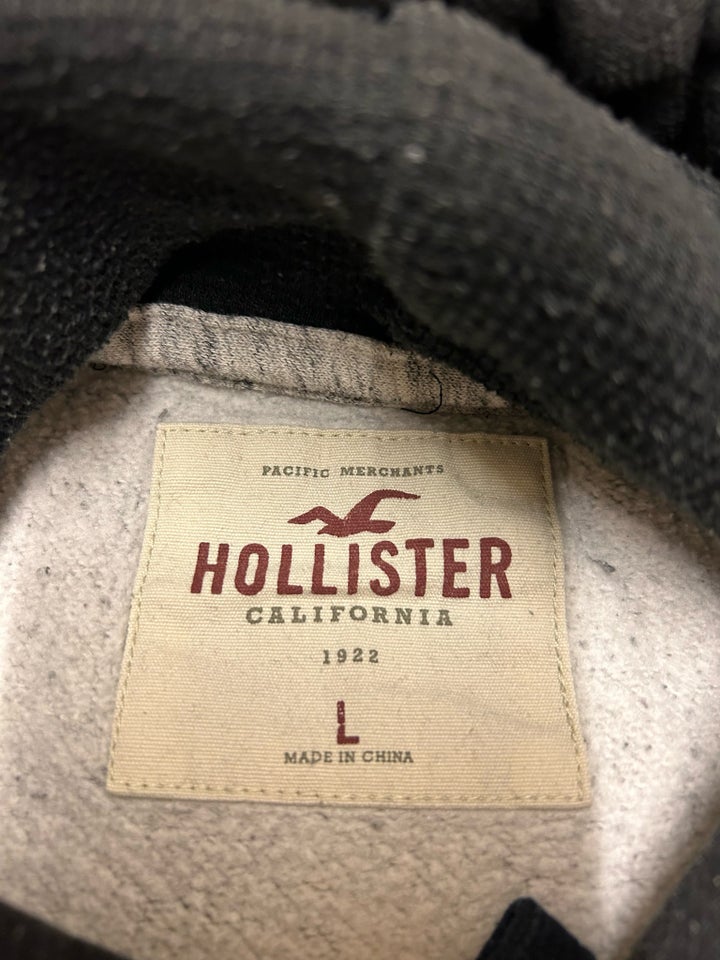 Hættetrøje, Hollister, str. L