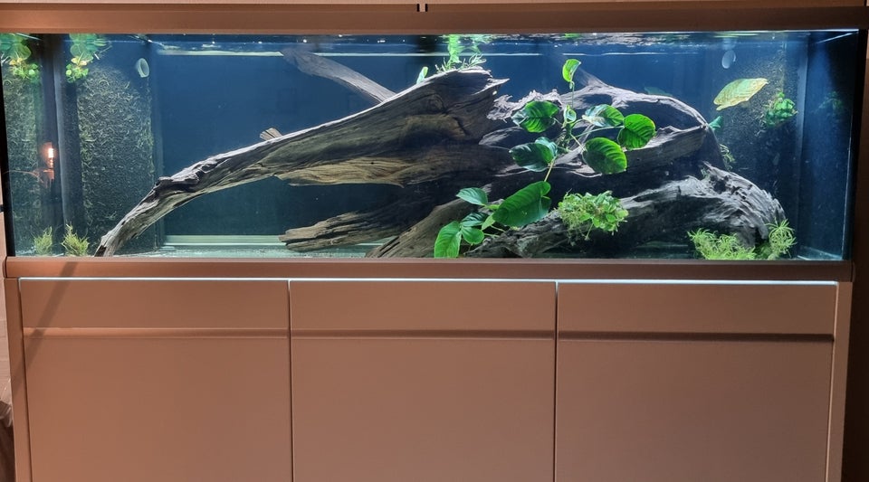 Akvarium, 720 liter, b: 200 d: 60 h: