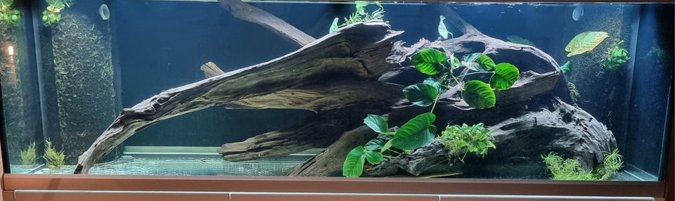 Akvarium, 720 liter, b: 200 d: 60 h: