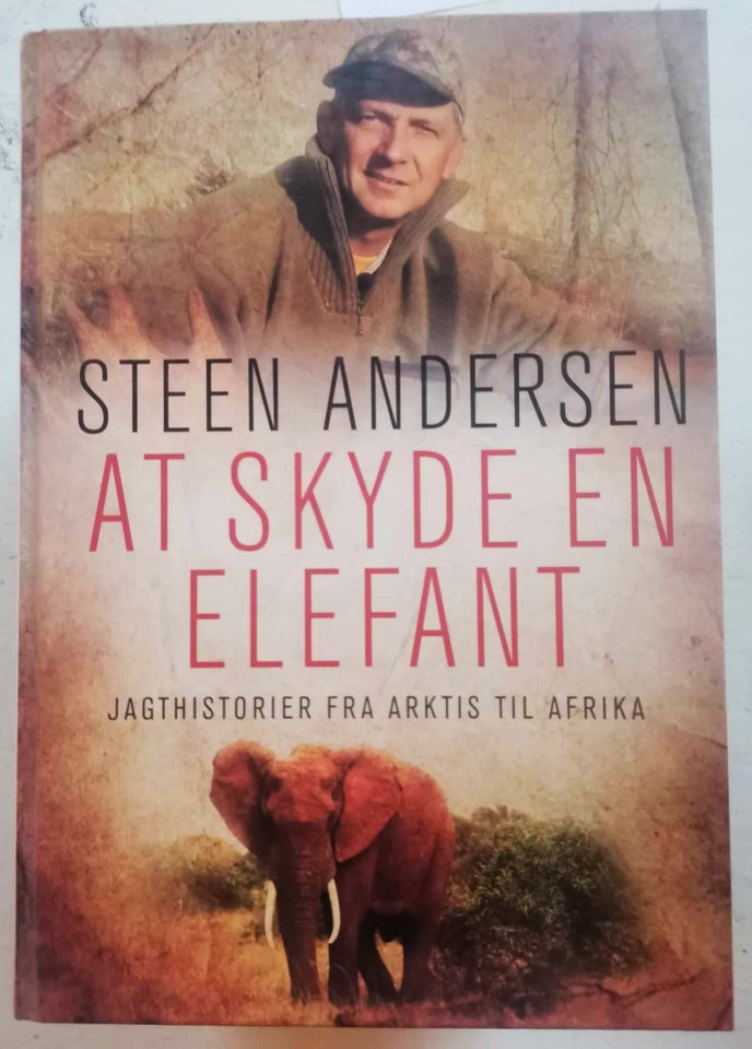 At skyde en elefant, Steen