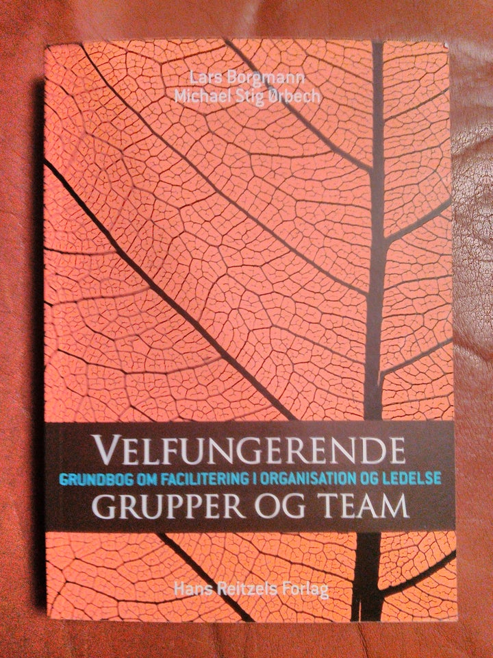 Velfungerende Grupper og Team. ,