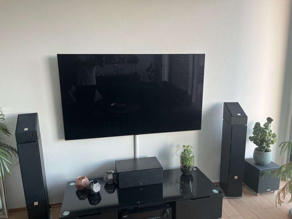 LED, LG, LG OLED 4K 65 C8