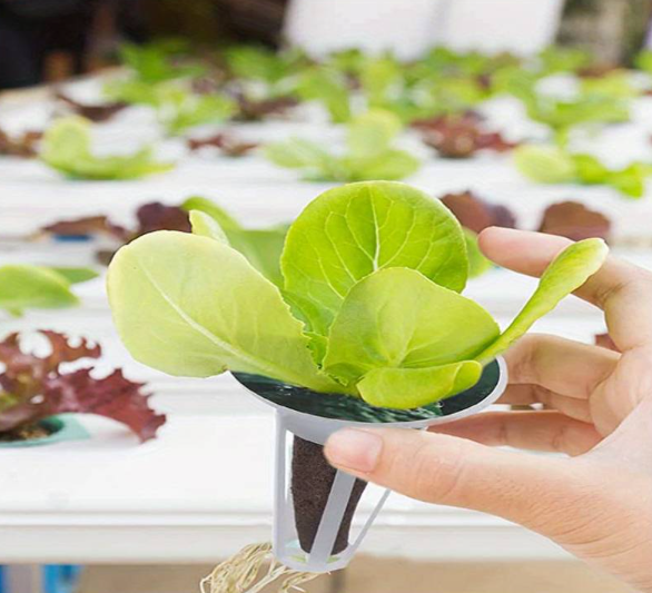 AEROGARDEN HARVEST