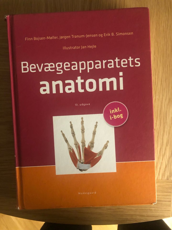 Bevægeapparatets anatomi, Finn