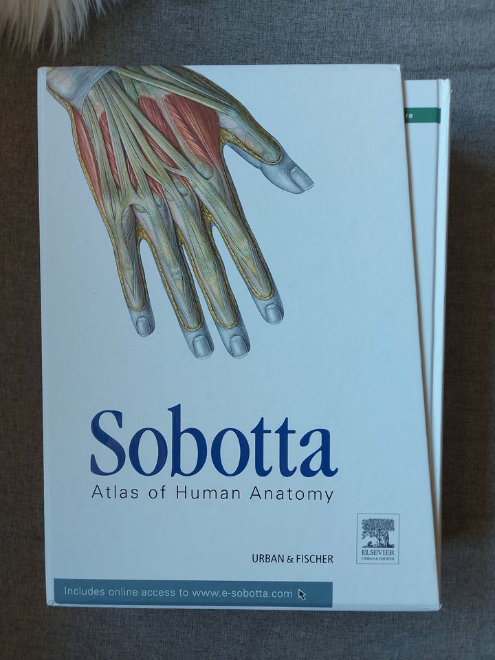 Sobotta Atlas of Human Anatomy.,