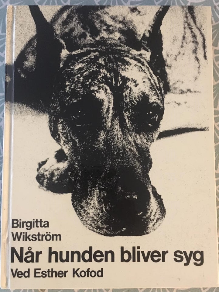 Når hunden bliver syg, Birgitta