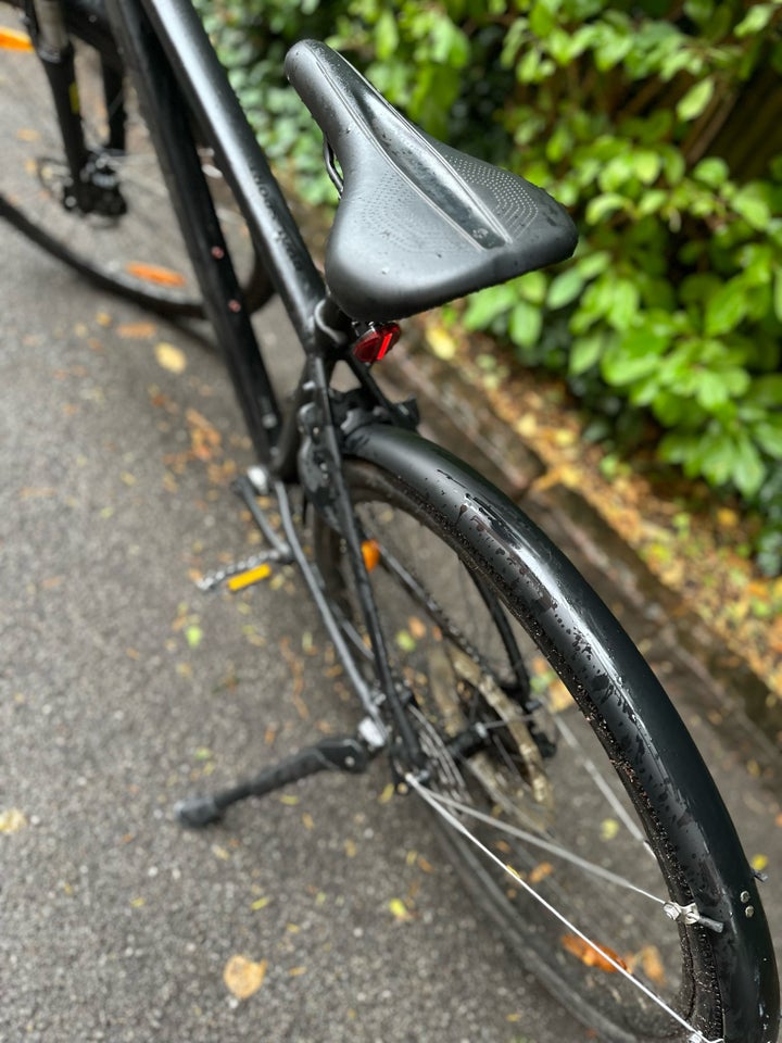 Trek Dual Sport 3 anden