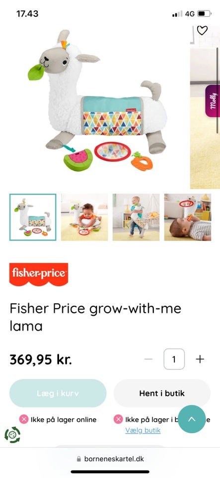 Fisher Price, bamse