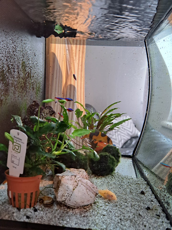 Fluval 1 stk