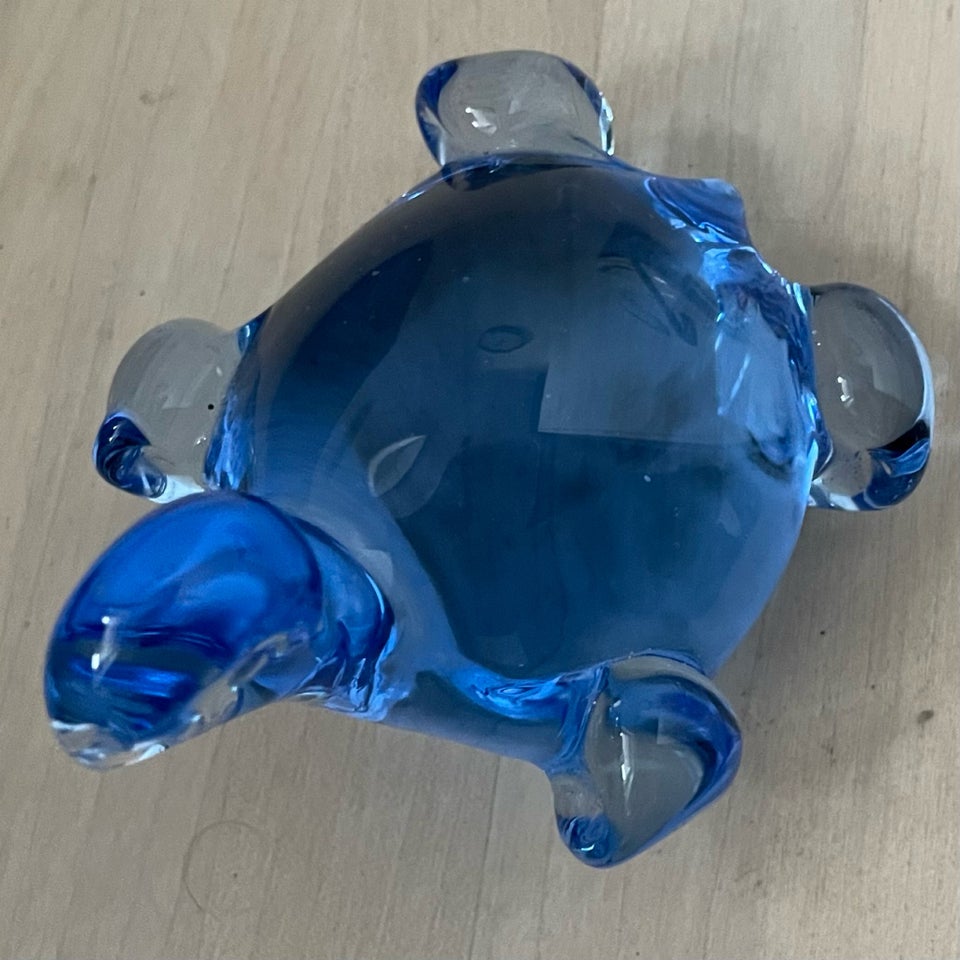 Glas, Skildpadde