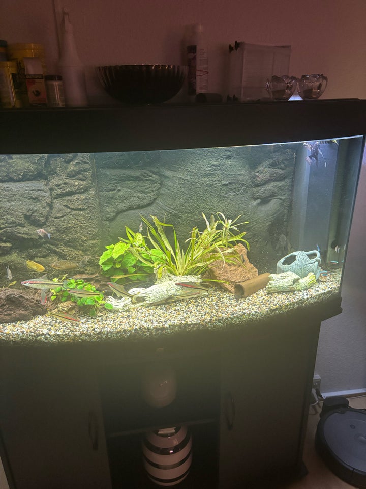 Akvarium, 260 liter