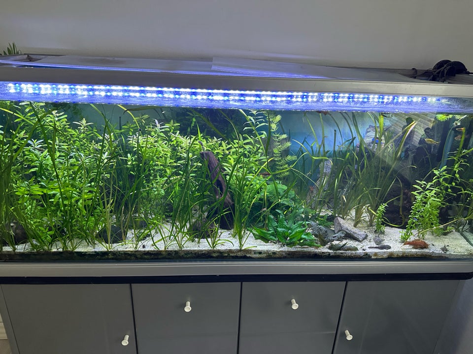 Akvarie ca 500 liter