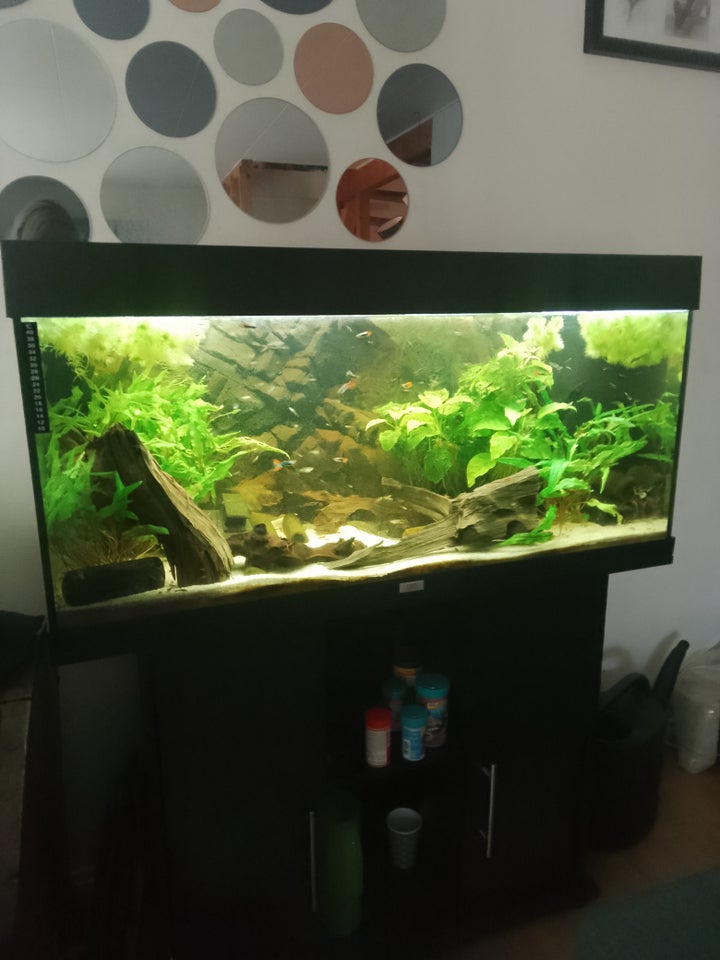 Akvarium med L-397, 9 stk.