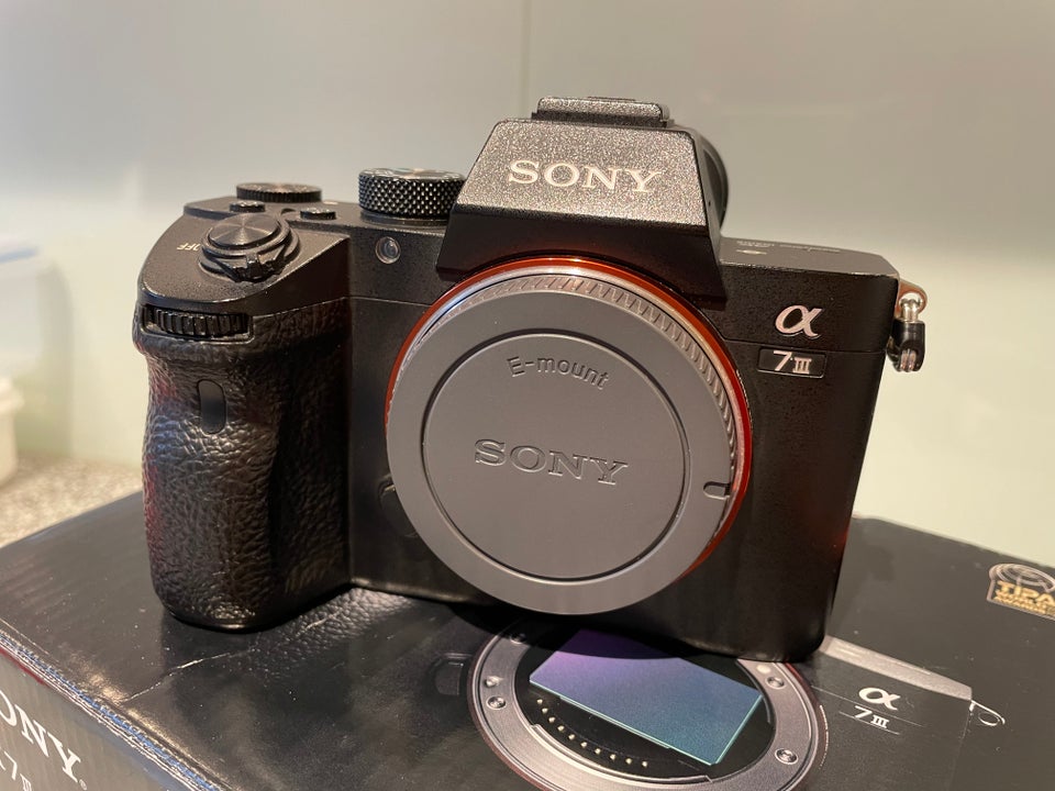 Sony, a7III, 24 megapixels