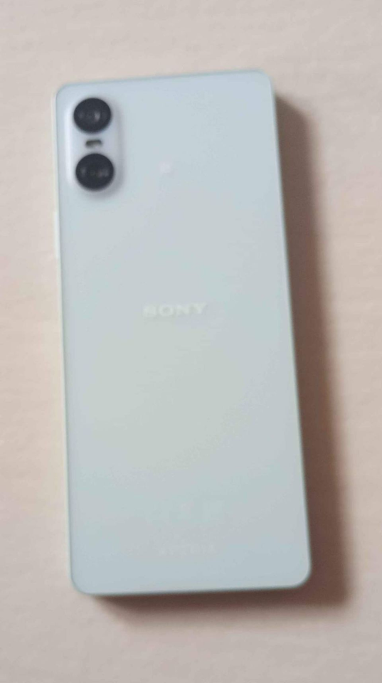 Sony Xperia 10vi, Perfekt