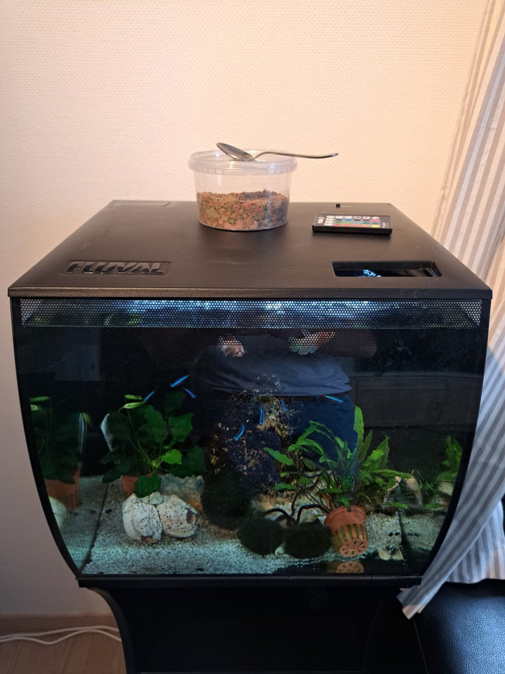 Fluval 1 stk