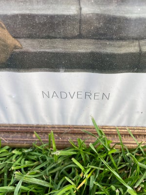 Billede af Nadveren