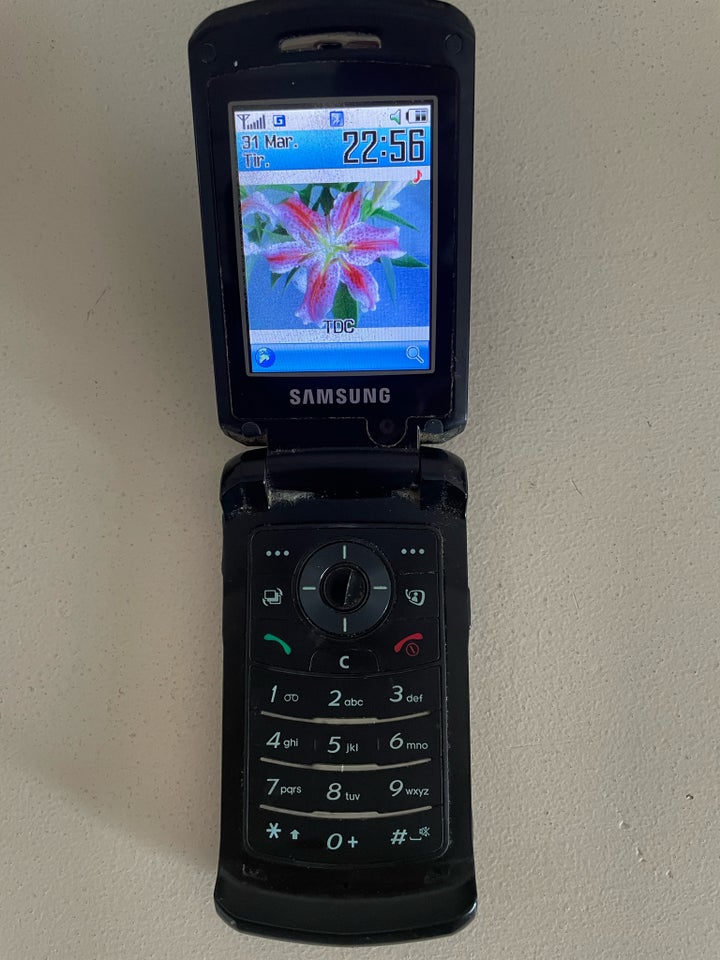 Samsung SGH-Z540 Rimelig