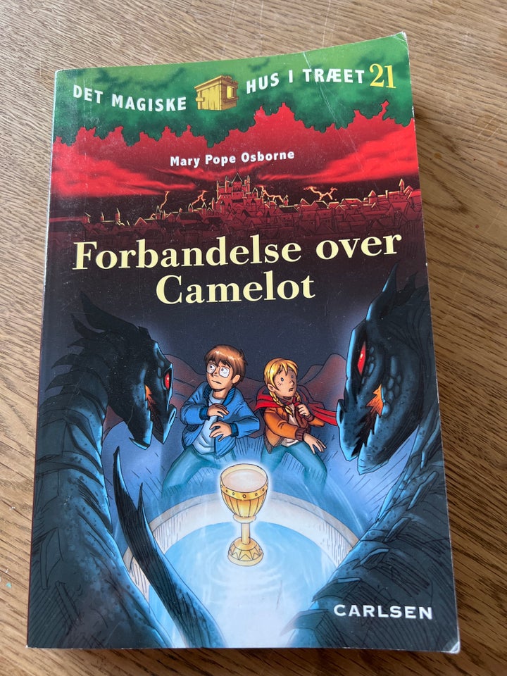 Forbandelse over Camelot, Mary