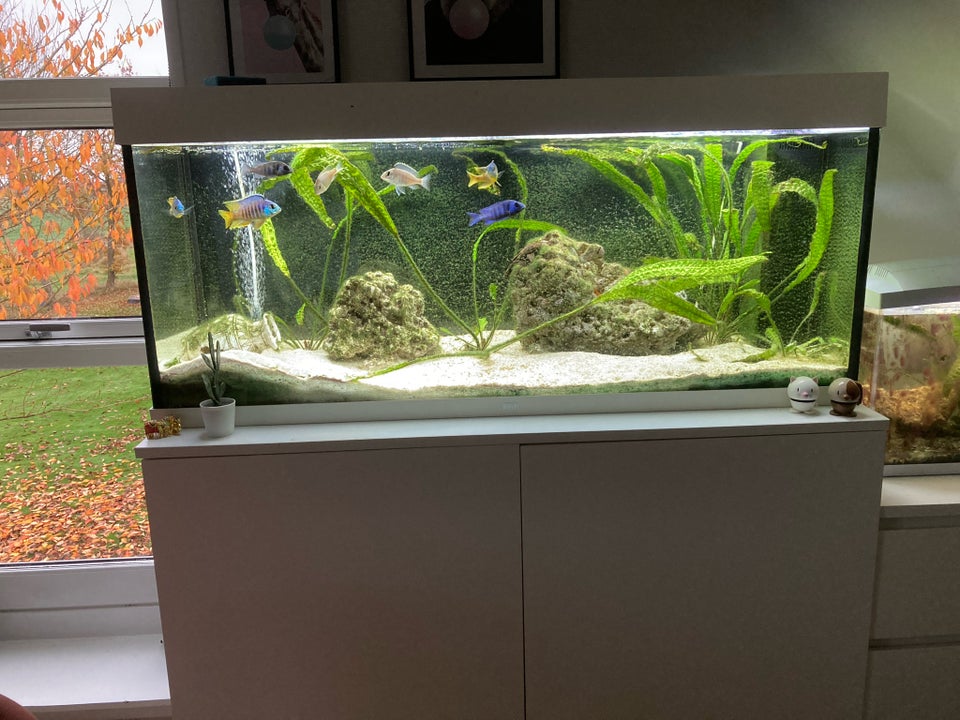 Akvarium, 240 liter