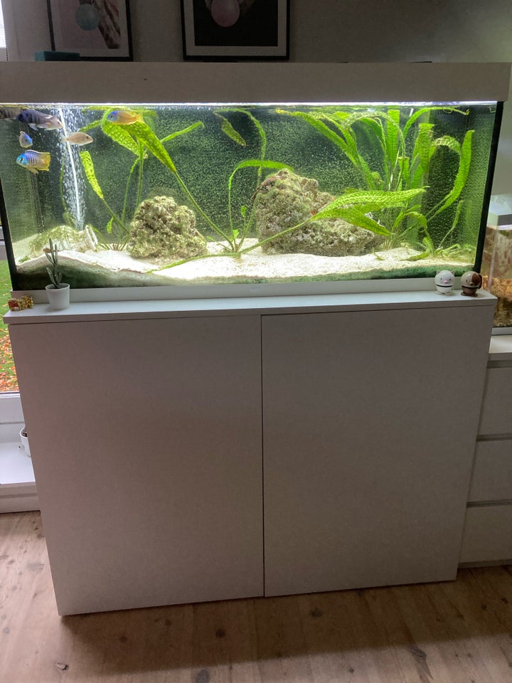 Akvarium, 240 liter