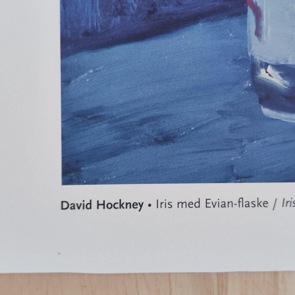 Plakat / Tryk David Hockney