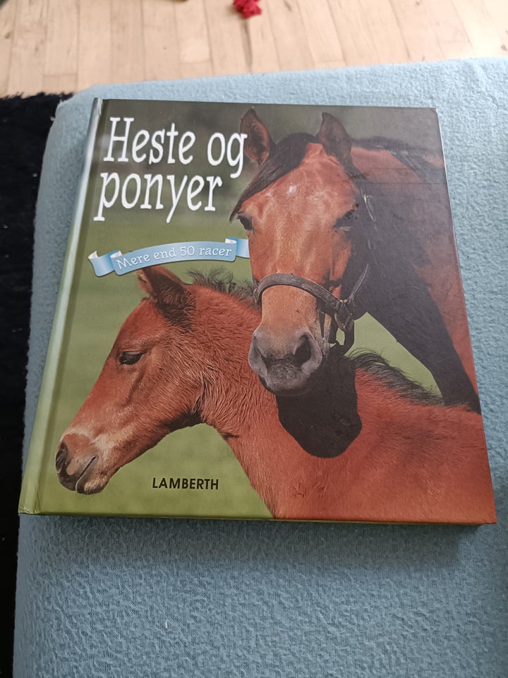 Heste og ponyer, .