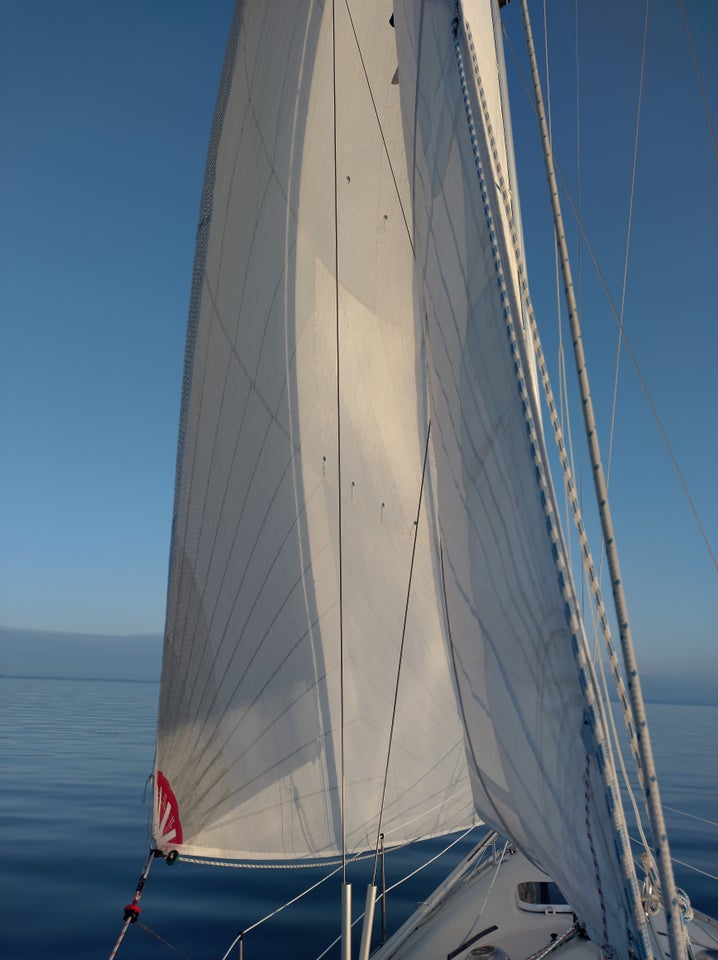 North Sails Code 1 rulle fo