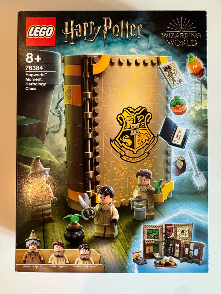 Lego Harry Potter, Lego 76384 Harry