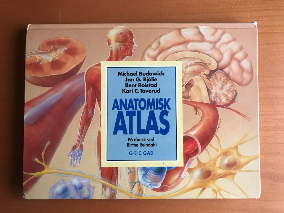 Anatomisk atlas, af Michael