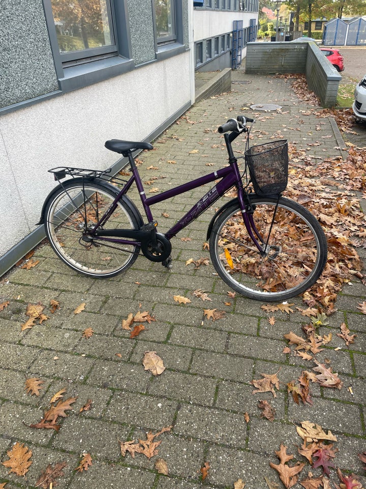 Pigecykel, anden type, X-zite