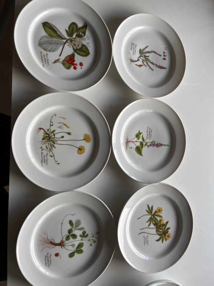 Porcelæn, Tallerken, Flora Danica