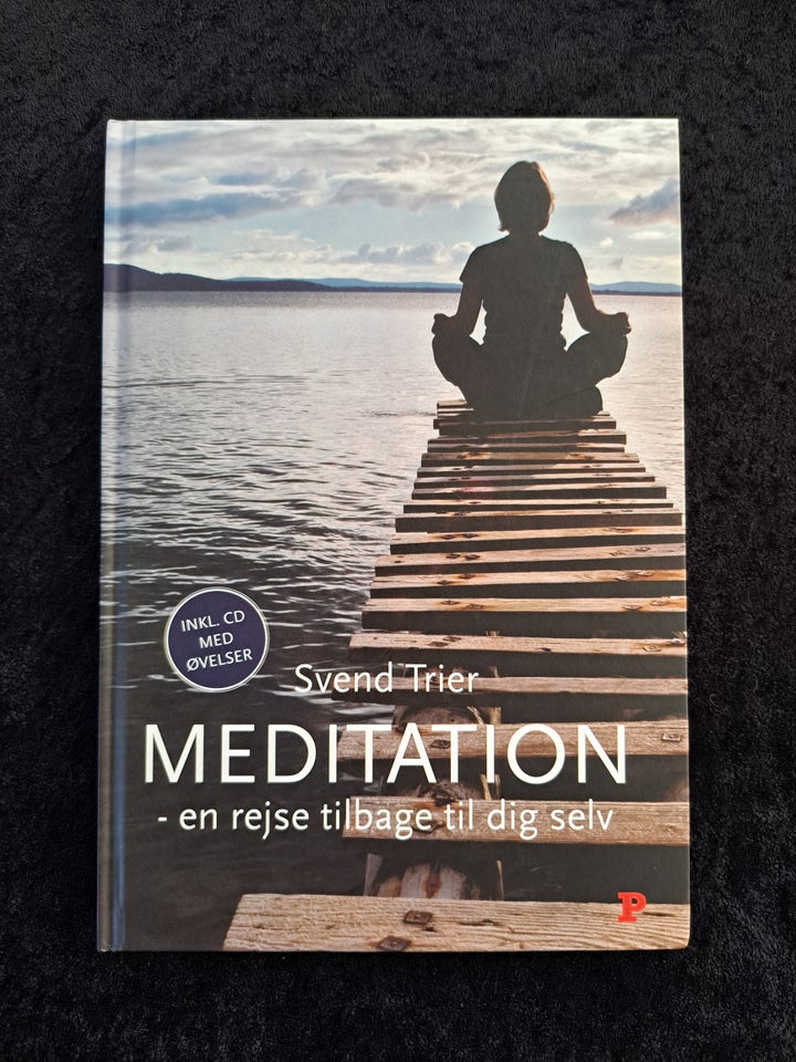 Meditation, Svend Trier, emne: