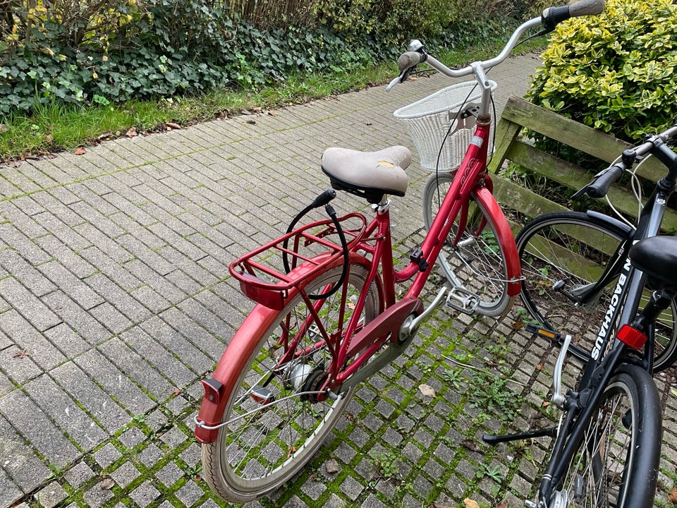 Pigecykel, classic cykel, SCO