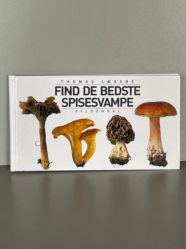 Find de bedste spisesvampe, Thomas